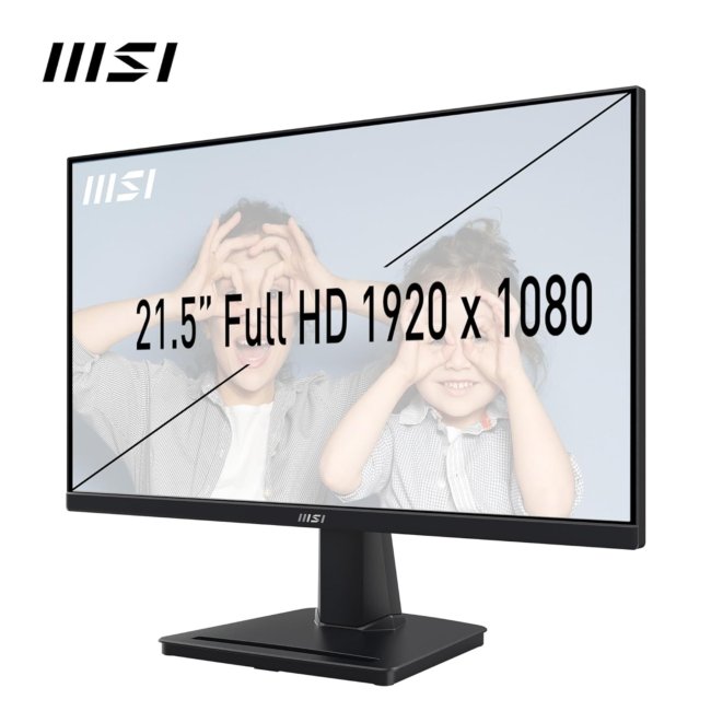 MSI PRO MP225 21.5 Inch Full HD Office Monitor - 1920 x 1080 IPS Panel, 100 Hz, Eye-Friendly Screen, Tilt-Adjustable - HDMI, D-Sub (VGA) - Image 2